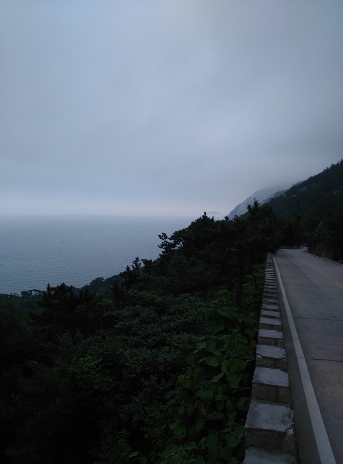 绿水青山总是情