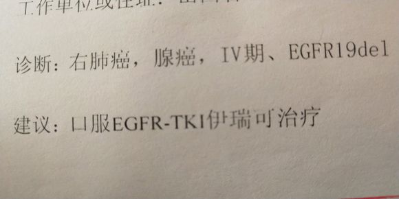不管中医还是西医给我看看现在吃的国产靶向药吉非替尼